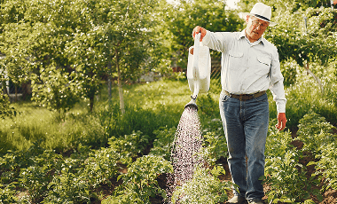 portrait-senior-man-hat-gardening 1 (1)